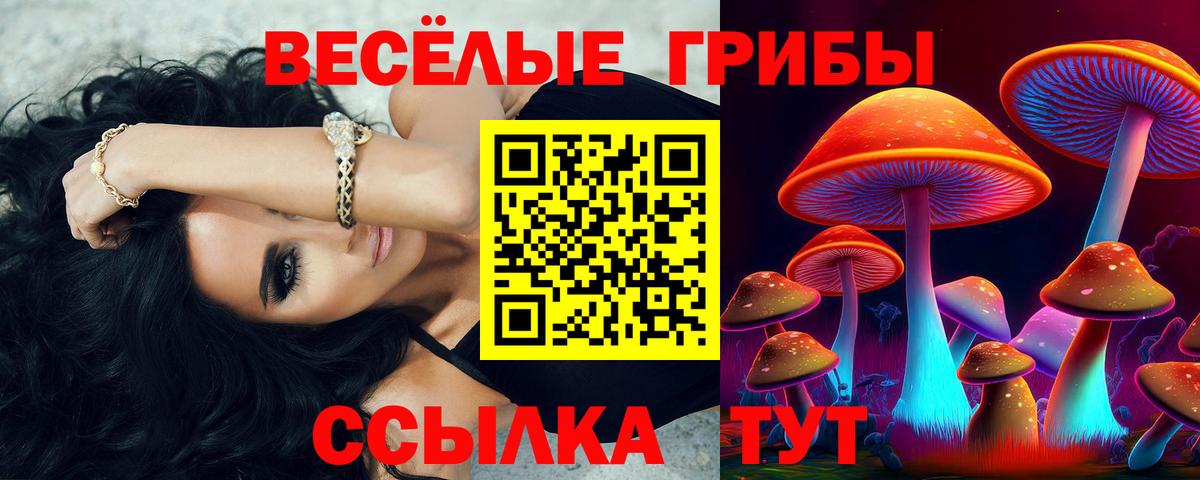 Галлюциногенные грибы Psilocybine cubensis Ахтубинск